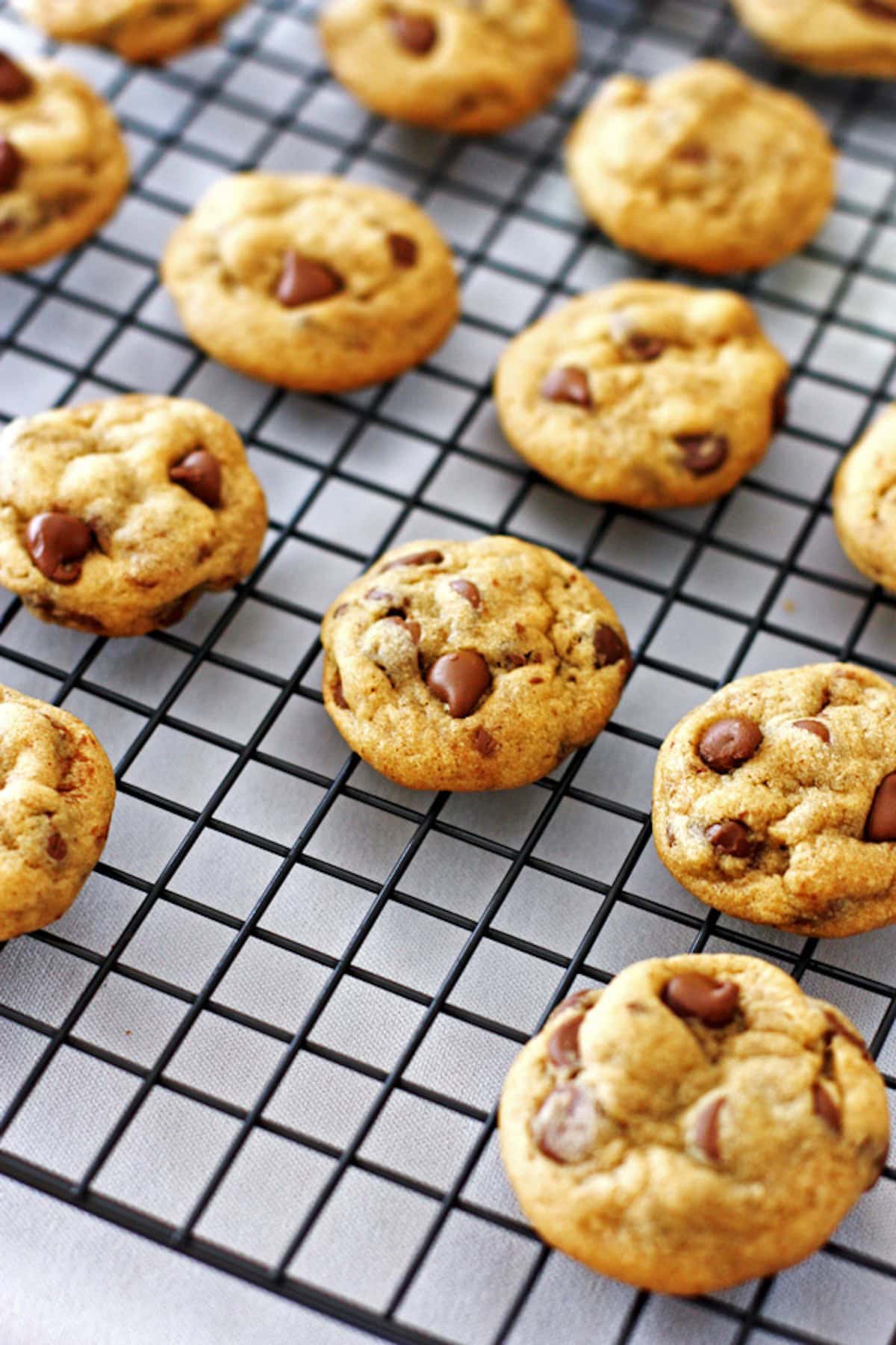 Our Favorite Chocolate Chip Cookies