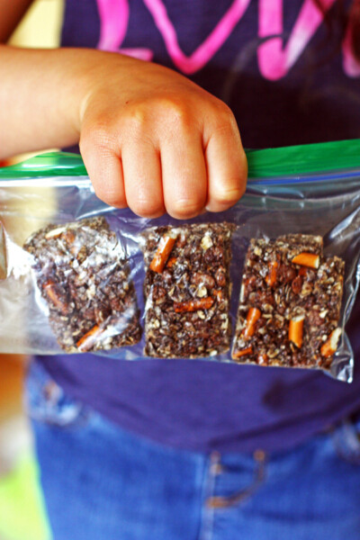 Dark Chocolate Pretzel Granola Bars Tried And True Recipes