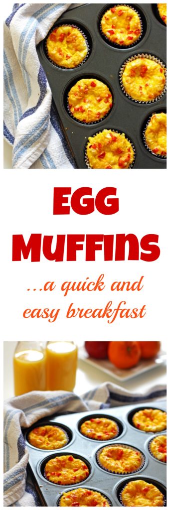 Egg Muffins
