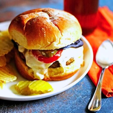 Blue Cheese Burger on a roll with tomaot and pickles and extra blue cheese dressing on a white plate.