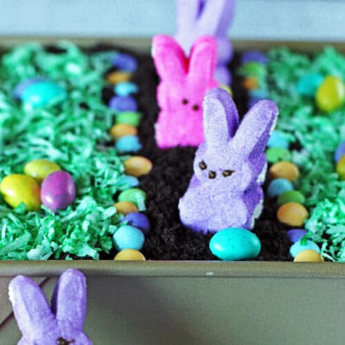 Peep bunnies, candy eggs and shredded coconut as grass on top of Dirt Cake