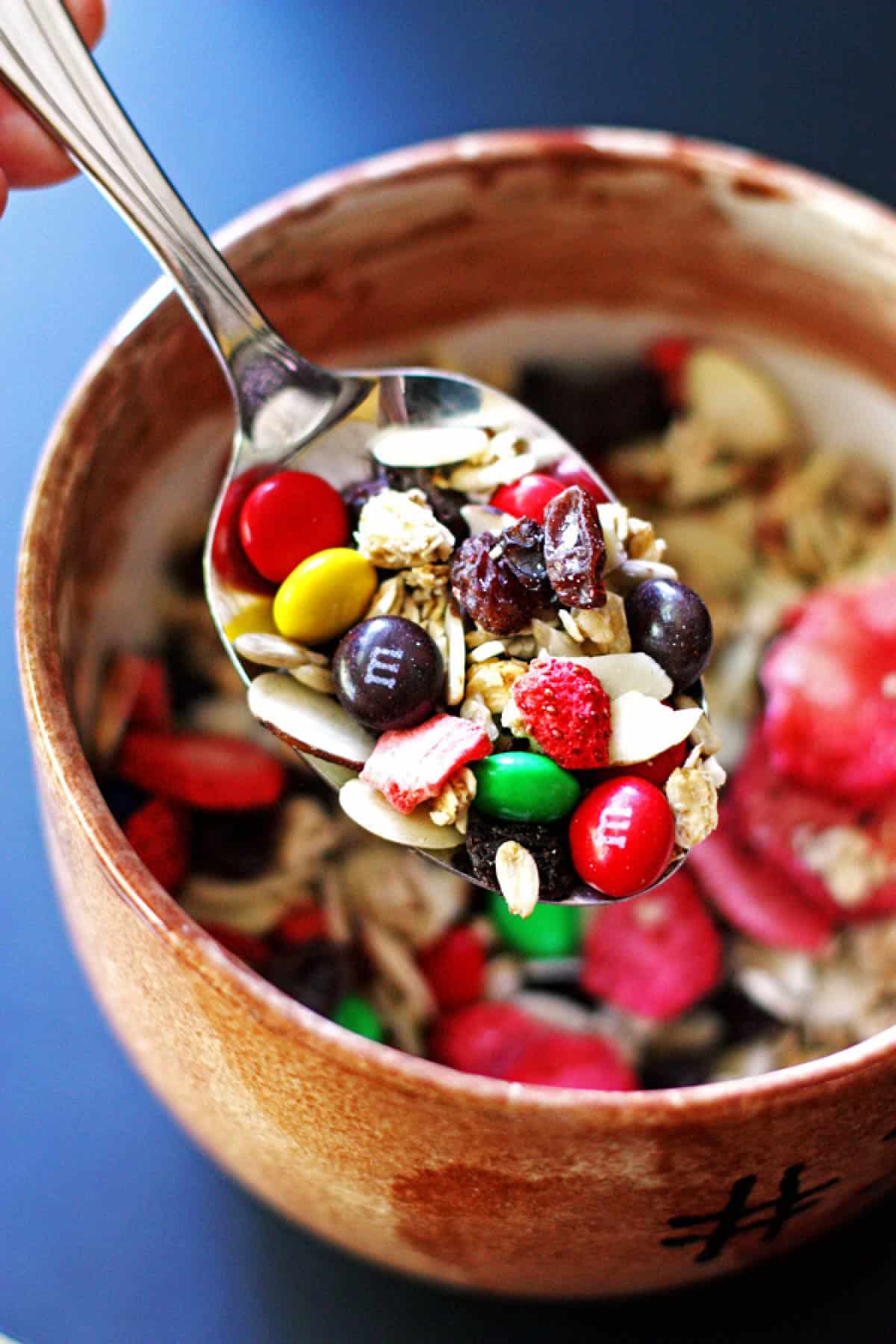 Trail Mix on a spoon near a bowl with the mix