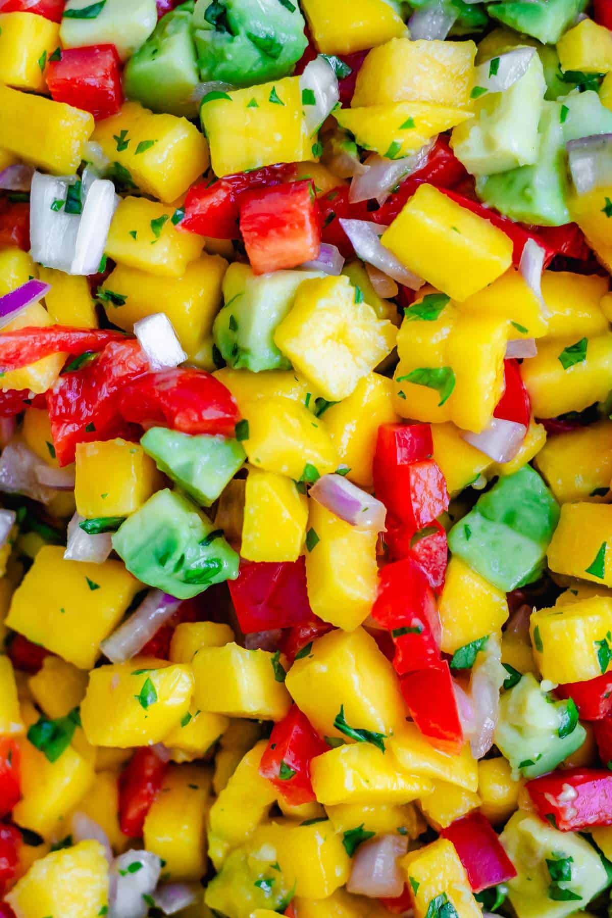 Diced mangoes, avocados, bell peppers, and onions for salsa, up close.