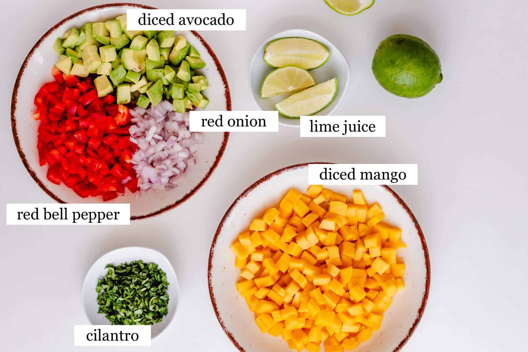 The ingredients in mango avocado salsa - laid out and labeled.