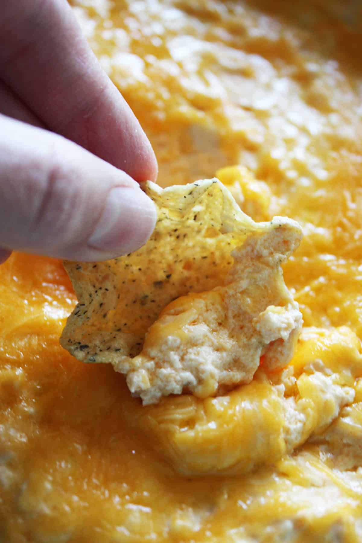 A corn chip scooping up cheesy buffalo chicken dip.