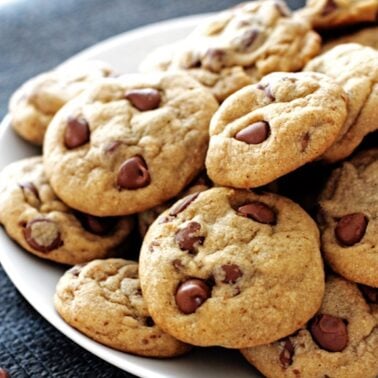 A plate of chewy chocolate chip cookies.