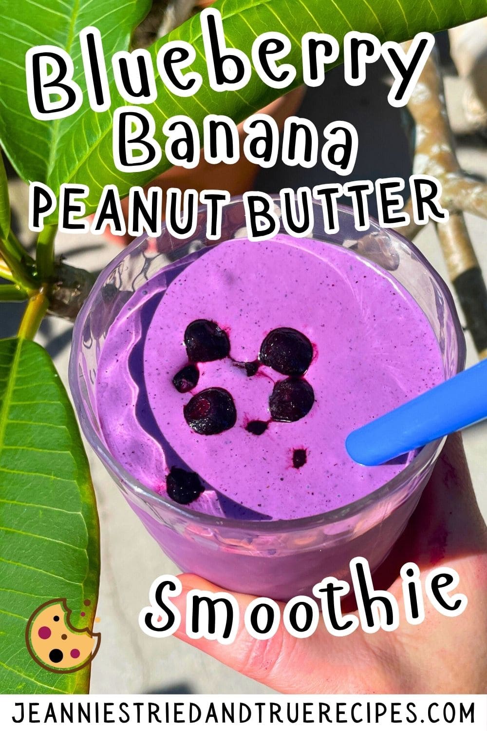 A pin image of a blueberry banana and peanut butter smoothie with blueberries on top and a blue straw being held next to some green plumeria leaves.